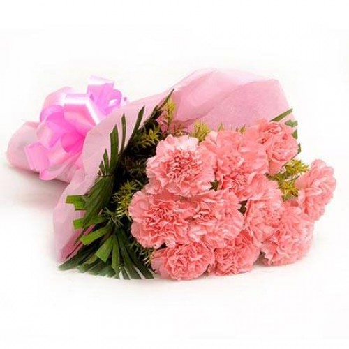 send flower Dabri DelhiPink Carnation Bunch 